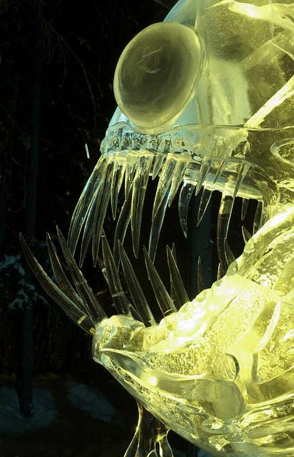 Ice 2006 IMGP8564.jpg